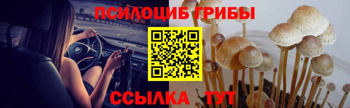 Гагарин  Псилоцибиновые грибы MAGIC MUSHROOMS  наркота  Галлюциногенные грибы Psilocybe  Вход с VPN 