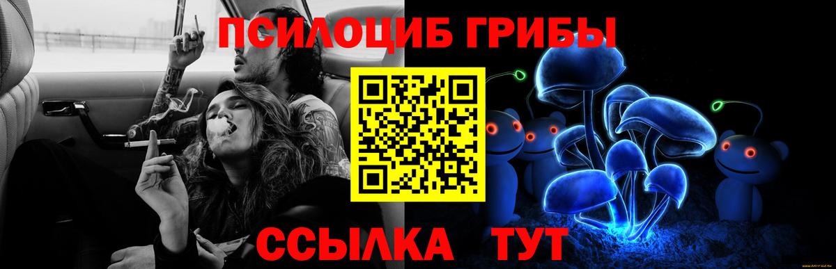 Галлюциногенные грибы GOLDEN TEACHER Гагарин